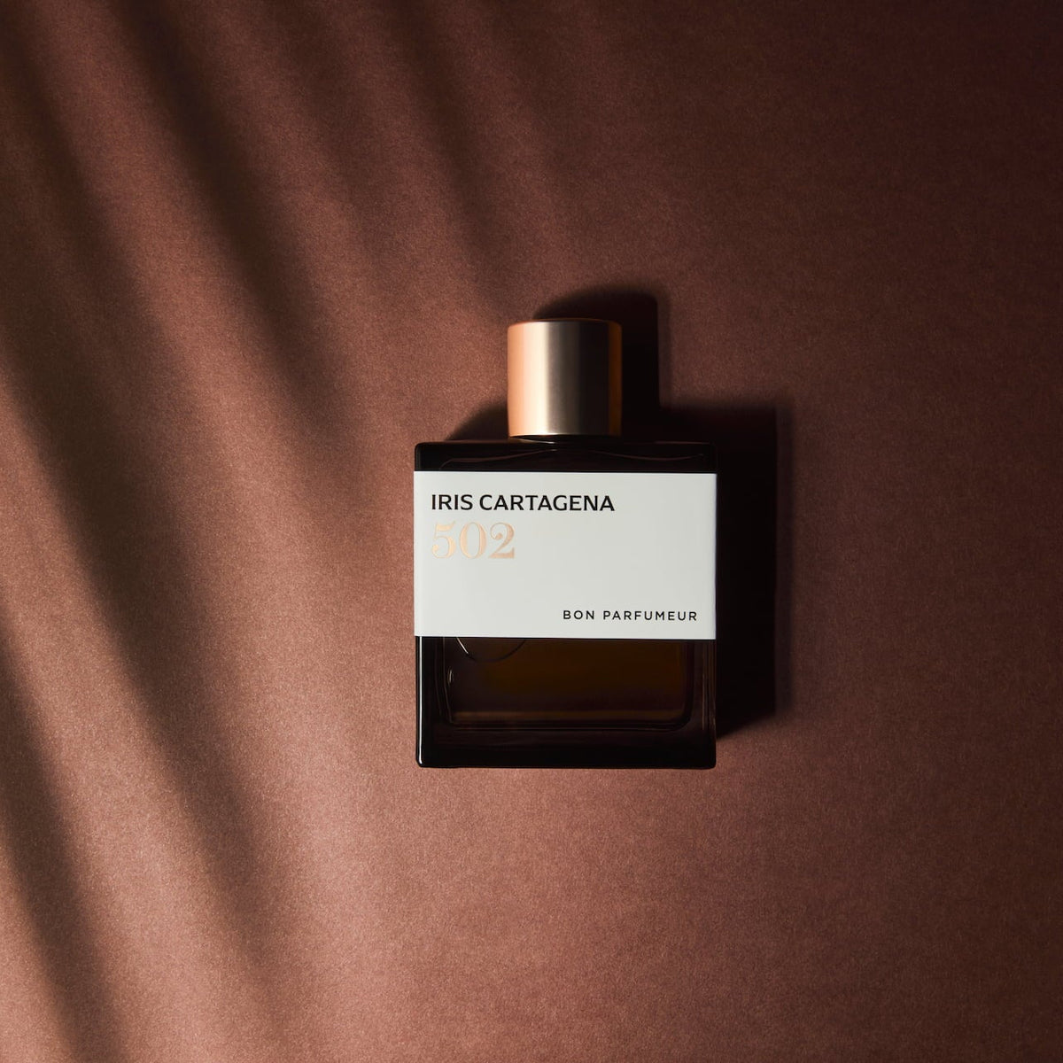 502 Iris Cartagena